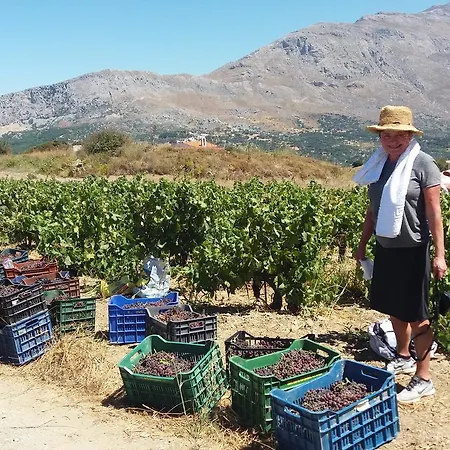 Petrinos Milos Casa vacanze Kerames